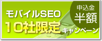 新サービス！モバイルSEOを導入される企業様10社限定キャンペーン実施中。申込金が半額！