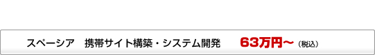 スペーシア　携帯サイト構築・システム開発　　63万円?（税込