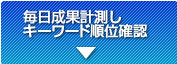 毎日成果計測しキーワード順位確認